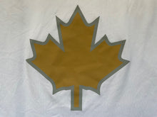 Load image into Gallery viewer, NBA Basketball Warmup Shirt Toronto Raptors Team Issued Chris Boucher