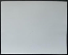 Load image into Gallery viewer, Gordie Howe Alex Delvecchio Autographed NHL Hockey Signed Photo Vintage JSA