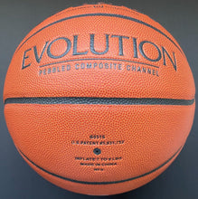 Load image into Gallery viewer, Vince Carter Autographed Wilson Basketball NBA Toronto Raptors Signed JSA LOA