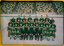 Load image into Gallery viewer, 1968 Minnesota North Stars NHL Hockey (1968-69) Team Photo Pennant Very Rare