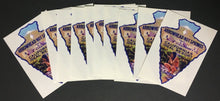 Load image into Gallery viewer, Vintage Arrowhead Hot Springs Cali Decal Sticker Travel Luggage Label Lot x10