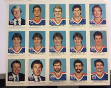 Load image into Gallery viewer, 1984 Red Rooster Team Set 2 Pages Edmonton Oilers NHL Hockey 4 Wayne Gretzky +