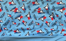 Load image into Gallery viewer, 2023 Toronto Blue Jays Giveaway SGA Fan Appreciation Hoodie XL Sweater MLB