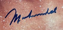 Load image into Gallery viewer, Muhammad Ali Signed 11x14 Boxing Photo Autographed Cassius Clay Ltd. Ed JSA LOA