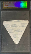 Load image into Gallery viewer, 1995 Van Halen North America Ampitheatre Tour Backstage Pass Vintage iCert