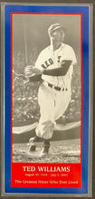 Load image into Gallery viewer, 2002 MLB Boston Red Sox Baseball Ted Williams Celebration Promo Ticket Fenway