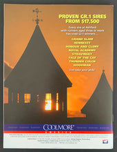 Load image into Gallery viewer, 2004 Belmont Stakes Program Autographed Smarty Jones Jockey Stewart Elliott