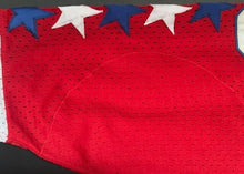 Load image into Gallery viewer, Bobby Carpenter #10 Washington Capitals Vintage NHL Hockey Jersey CCM