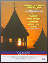 Load image into Gallery viewer, 2004 Belmont Stakes Program Vintage Smarty Jones Jockey Stewart Elliott