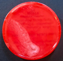 Load image into Gallery viewer, 1963 Nalley's Potato Chips CFL Football Token Plastic Coin 66 Ed Nickla Alouette