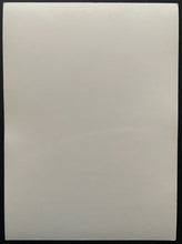 Load image into Gallery viewer, 1968-69 NHL Hockey Toronto Maple Leafs Mike Walton Team Issued Photo Vintage