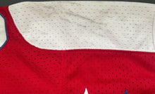 Load image into Gallery viewer, Bobby Carpenter #10 Washington Capitals Vintage NHL Hockey Jersey CCM