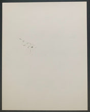 Load image into Gallery viewer, American Golf Hall Of Famer Arnold Palmer Autographed Signed Photo PGA JSA