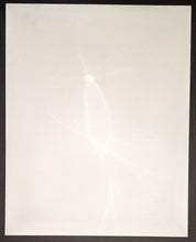 Load image into Gallery viewer, 2002 Brett Hull Autographed Signed Large Photograph Stanley Cup Champion NHL COA