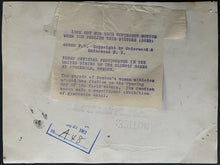 Load image into Gallery viewer, 1912 Vintage Stockholm Summer Olympics Opening Ceremonies Type 1 Photo LOA