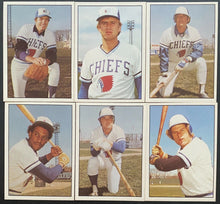 Load image into Gallery viewer, 1978 Signed Syracuse Chiefs Baseball Cards Autographed Danny Ainge Ernie Whitt