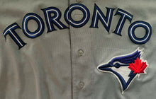 Load image into Gallery viewer, 2017 Ryan Tepera Game Used road Toronto Blue Jays Road Jersey Baseball MLB Holo
