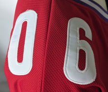 Load image into Gallery viewer, Shania Twain UP! Tour Hockey Jersey 06 + 07 Shoulder Patches Medium Pop Country