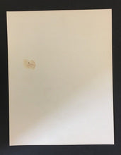 Load image into Gallery viewer, 1973 Joe Namath Brady Bunch Studio Photo With Bobby Brady Mail Order Hero LOA