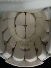 Load image into Gallery viewer, 1996 NFL Pro Football Hall Of Fame Game Signed x20 Riddell Helmet Beckett LOA