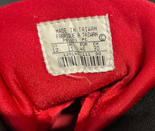 Load image into Gallery viewer, Jay Triano Game Worn Used Nike Sneakers Shoes Canada Basketball Legend CBF LOA