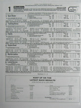 Load image into Gallery viewer, 2002 Canadian International Grade 1 Stakes Woodbine Program + Poster Ballingarry