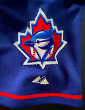 Load image into Gallery viewer, 2002 Garth Iorg Game Used Jersey Toronto Blue Jays Worn MLB Baseball Majestic