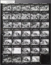 Load image into Gallery viewer, 1995 Movie Jumanji Contact Sheet Robin Williams Wrestles Alligator 34 Photos VTG