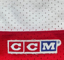 Load image into Gallery viewer, Bobby Carpenter #10 Washington Capitals Vintage NHL Hockey Jersey CCM