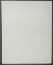 Load image into Gallery viewer, 1964 MLB Baseball Boston Red Sox Official Season Yearbook + Pesky Insert Photo