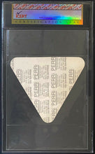 Load image into Gallery viewer, 1993 Rod Stewart A Night To Remember Tour Guest Pass icert Authenticated