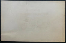 Load image into Gallery viewer, 1990 Vintage MLB Texas Rangers Nolan Ryan 300th Win Ticket Stub Card Certificate