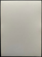 Load image into Gallery viewer, 1968-69 NHL Hockey Toronto Maple Leafs Pierre Pilote Team Issued Photo HOFer