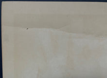 Load image into Gallery viewer, 1950s Looney Tunes Sylvester the Cat 24x24 Screenprint Poster Vintage Cartoons