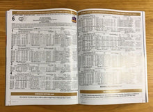 Load image into Gallery viewer, Justify Triple Crown Winner Belmont Stakes Program 2018