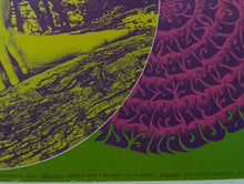Load image into Gallery viewer, 1969 Family Dog Bill Graham Concert Poster Blue Cheer Mount Rushmore FD-99