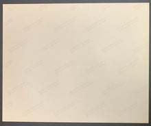 Load image into Gallery viewer, 2000 Movie Collage + Publicity Photo Cast + Crew Like Cats & Dogs