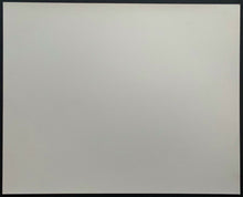 Load image into Gallery viewer, 1980's Type 1 Photo Stevie Nicks + Joan Jett New York City Radio Station Visit