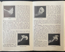 Load image into Gallery viewer, 1920s Baseball How To Pitch Pamphlet MLB Vintage Antique MILB Draper-Maynard