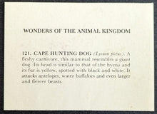 Load image into Gallery viewer, 1950s Wonders Of The Animal Kingdom Cards Set Of 400 With 1 Wrapper Vintage