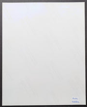 Load image into Gallery viewer, Jerome Bettis Pittsburgh Steelers Super Bowl XL Autographed Photo Football NFL