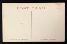 Load image into Gallery viewer, 1904 Central Park New York City Vintage Postcard