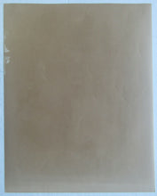 Load image into Gallery viewer, 1973 NHL Hall Of Famer Phil Esposito & Figure Skater Karen Magnussen Press Photo