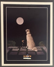 Load image into Gallery viewer, 2000 Movie Collage + Publicity Photo Cast + Crew Like Cats & Dogs