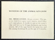 Load image into Gallery viewer, 1950s Wonders Of The Animal Kingdom Cards Set Of 400 With 1 Wrapper Vintage