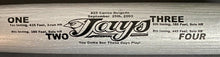 Load image into Gallery viewer, 2003 MLB Promotional Baseball Bat Carlos Delgado 4HR Game Toronto Blue Jays Coke