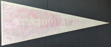 Load image into Gallery viewer, 1979 50th Anniversary MLB All-Star Game Full Sized Pennant Seattle KingDome