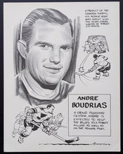 Load image into Gallery viewer, 1969 Full Set of 30 St. Louis Blues Promotional Prints Falstaff Beer NHL VTG