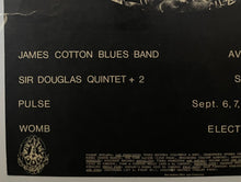 Load image into Gallery viewer, 1968 Family Dog Bill Graham Concert Poster James Cotton Blues Band FD-136