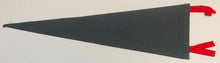Load image into Gallery viewer, 1950's CNE Canadian National Exhibition Felt Pennant Vtg Toronto Princess Gate
